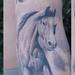 Tattoos - Horses and star snatcher - 63586